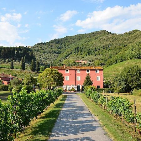 Agriturismo Le Murelle Λούκα Εξωτερικό φωτογραφία