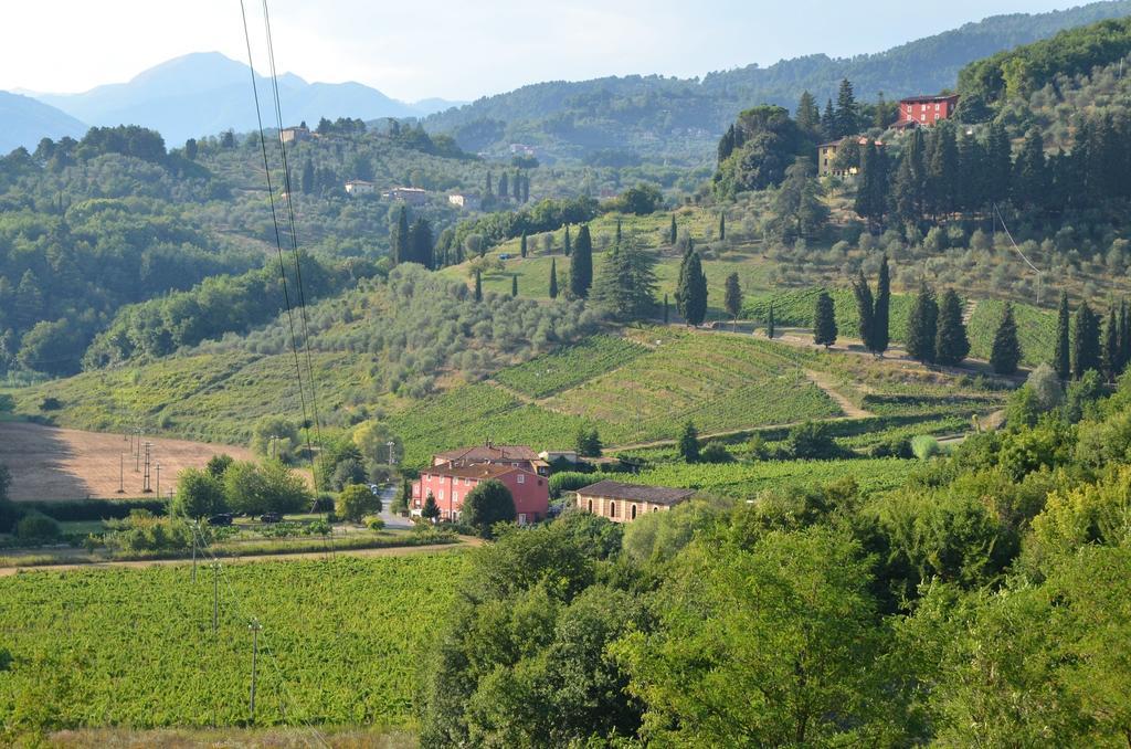 Agriturismo Le Murelle Λούκα Εξωτερικό φωτογραφία