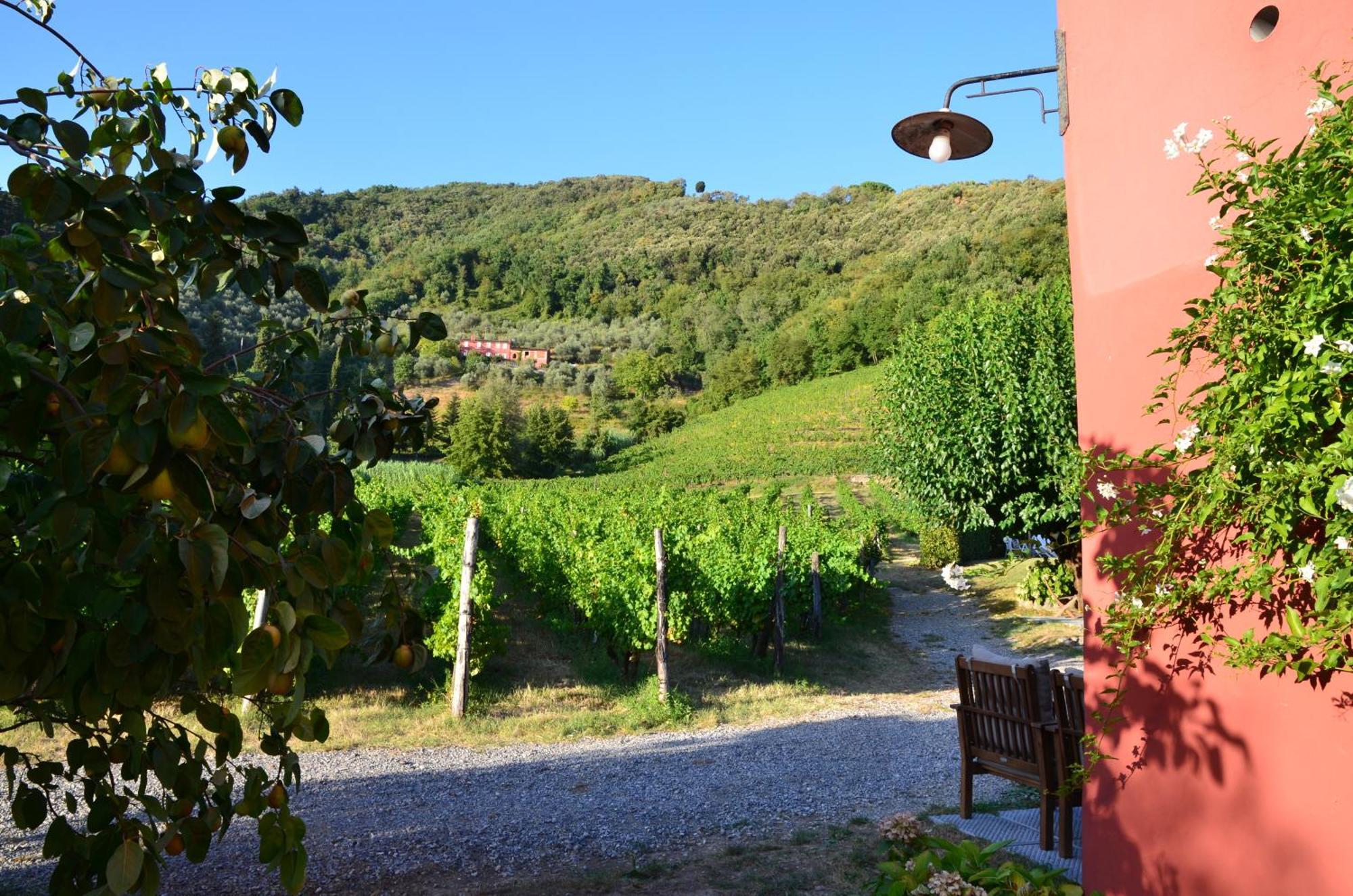 Agriturismo Le Murelle Λούκα Εξωτερικό φωτογραφία