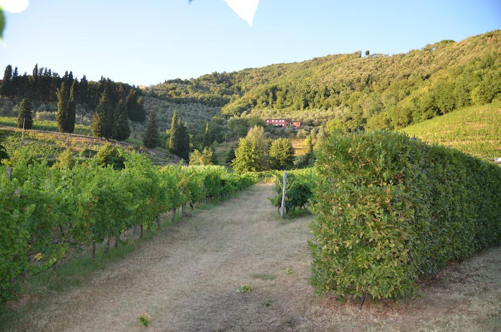 Agriturismo Le Murelle Λούκα Εξωτερικό φωτογραφία